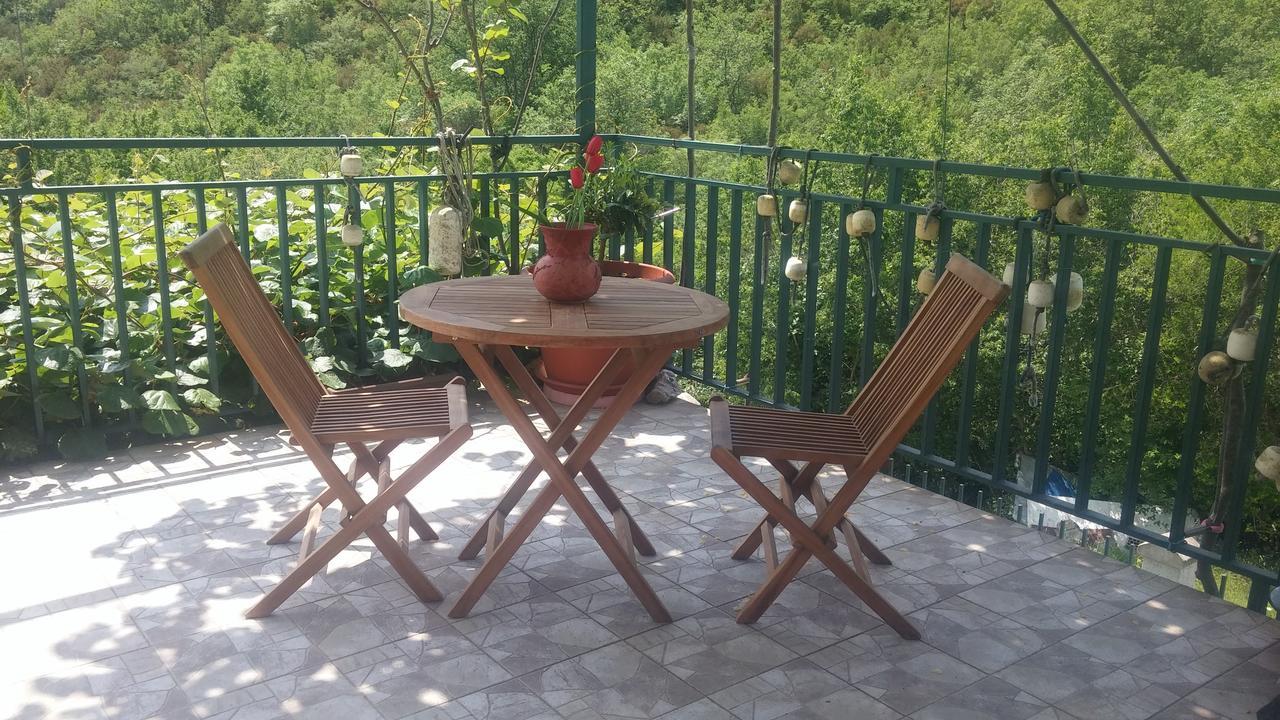 Danijela Apartmani Canj Exterior photo