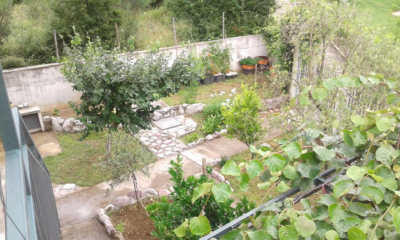 Danijela Apartmani Canj Exterior photo